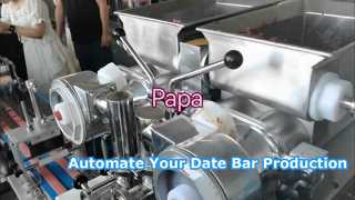 Hot Sale P160 Gevulde Datum Bar Koekjes Fig Newton Koekjes Maken Vormkorstvormmachine