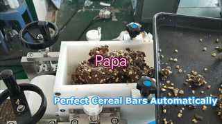 Papa Small P320 Cereal Energy dadels Staafvormmachine met staafscheidingssysteem
